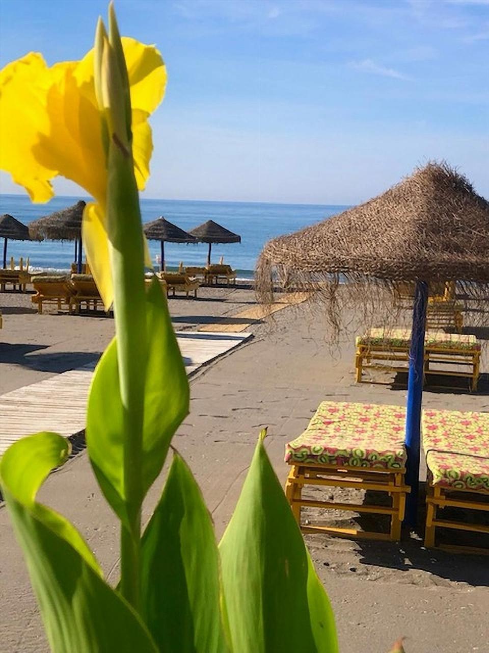 Spacious 1 Bedroom Apartment, Beach Front, Torrox Costa Екстериор снимка